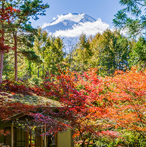 日本の四季の画像