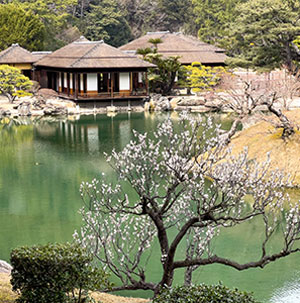 日本の四季の画像