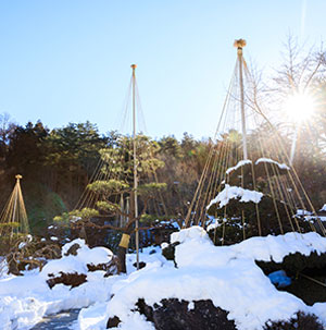 日本の四季の画像